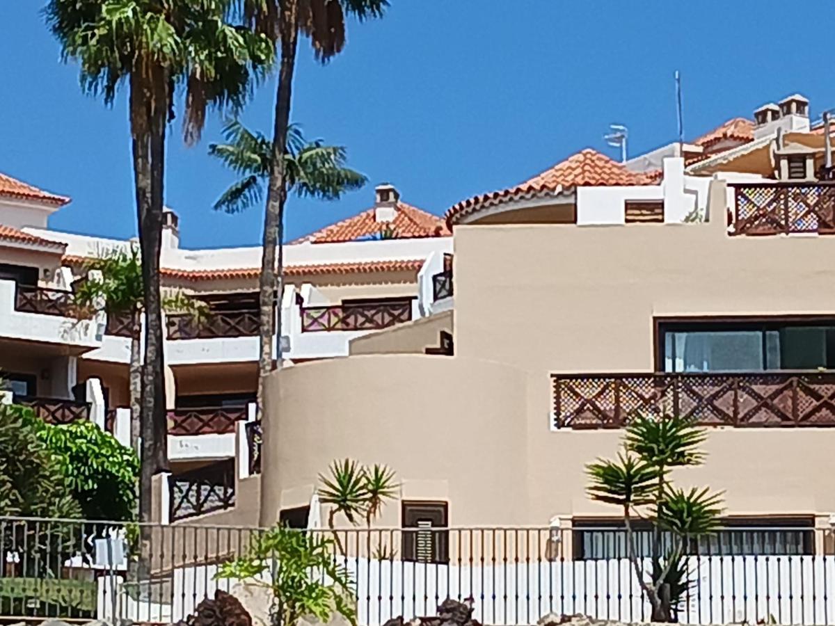 סן מיגל דה אבונה Chillout Studio Albatros In Toller Anlage Mit Pool מראה חיצוני תמונה
